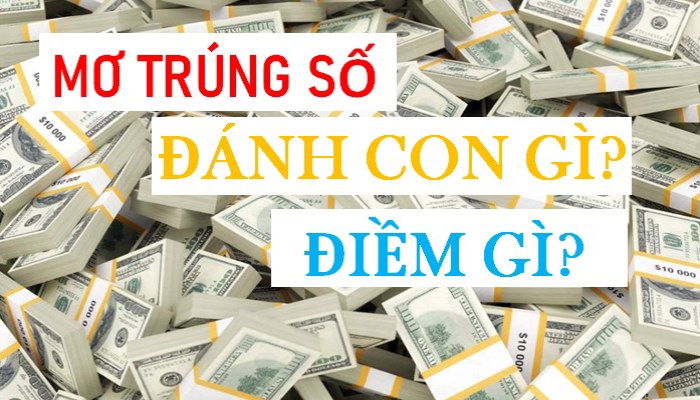 Tìm hiểu về giấc mơ thấy trúng số