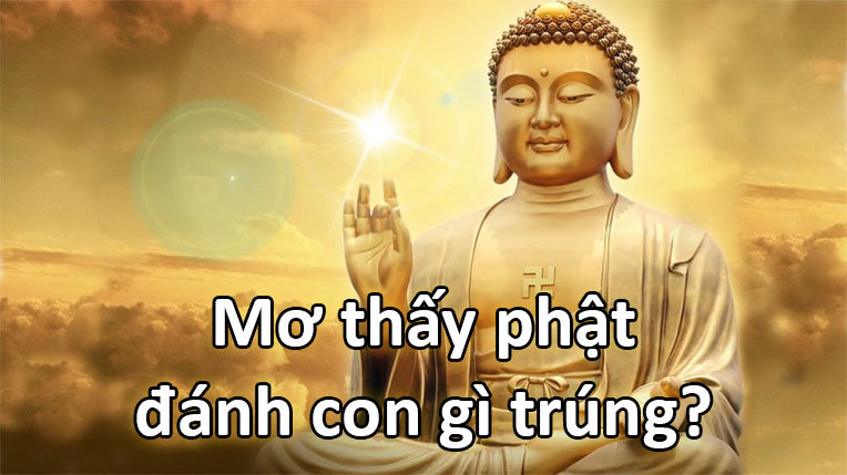 FCB8 bật mí số đề trúng lớn khi nằm mơ thấy Phật