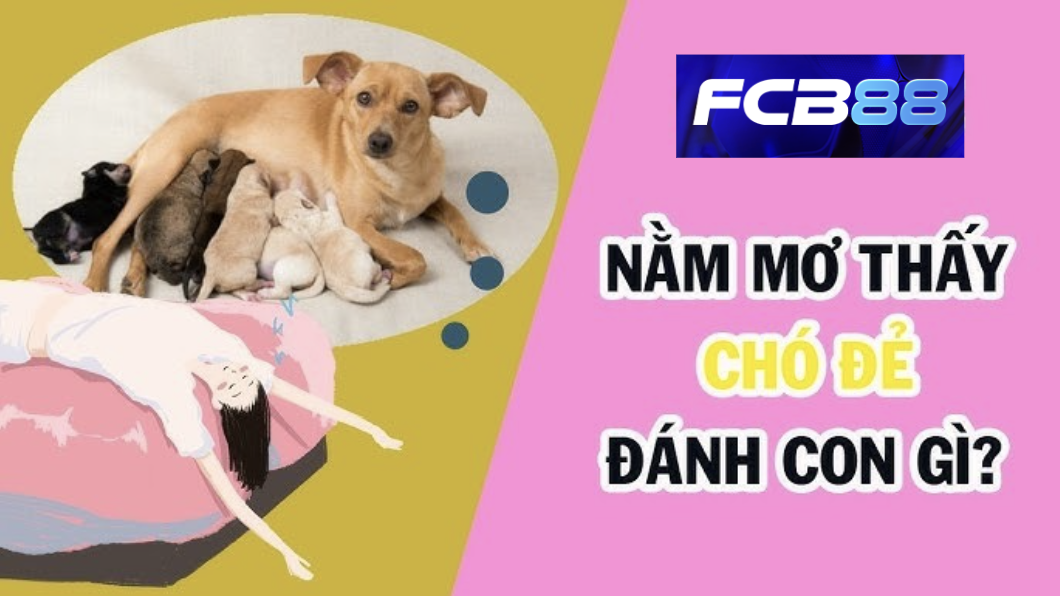 Mơ Thấy Chó Đẻ - Điềm Lành Hay Dữ? Khám Phá Số Đề Cùng FCB88